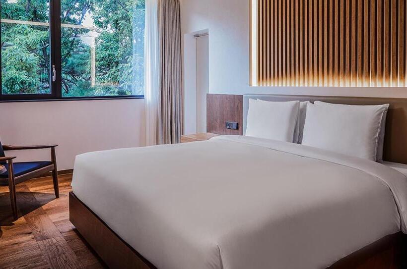 فندق Paraspara Seoul