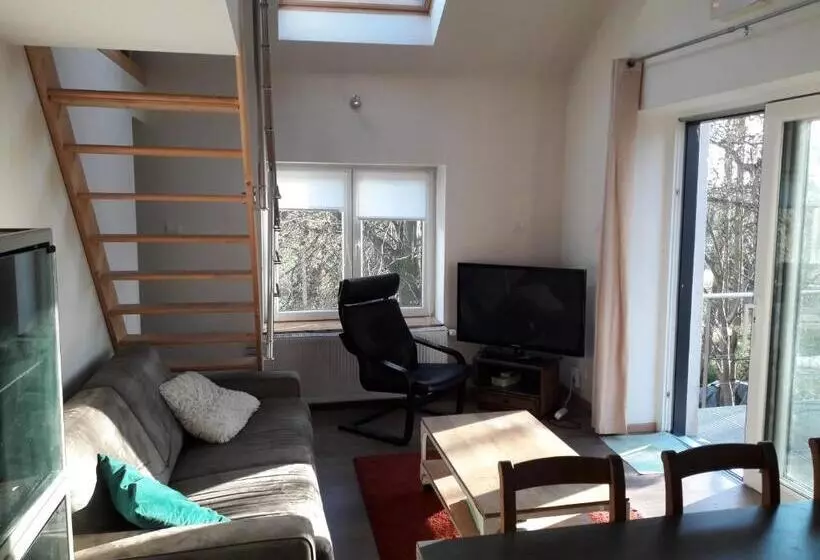 ペンション La Cave Au Chat Pitre  Le Fenil