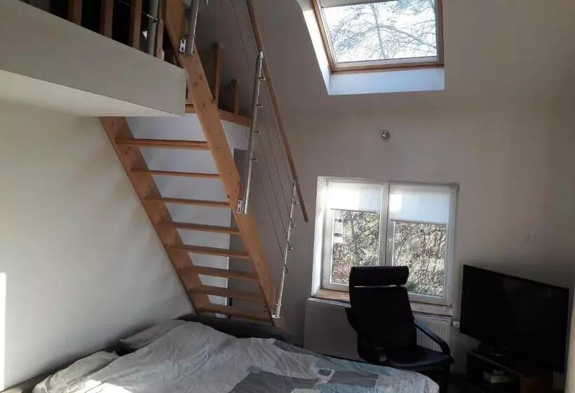 ペンション La Cave Au Chat Pitre  Le Fenil