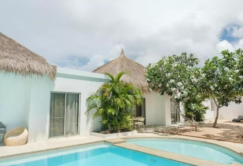 リゾートホテル Seapearl Of Alona