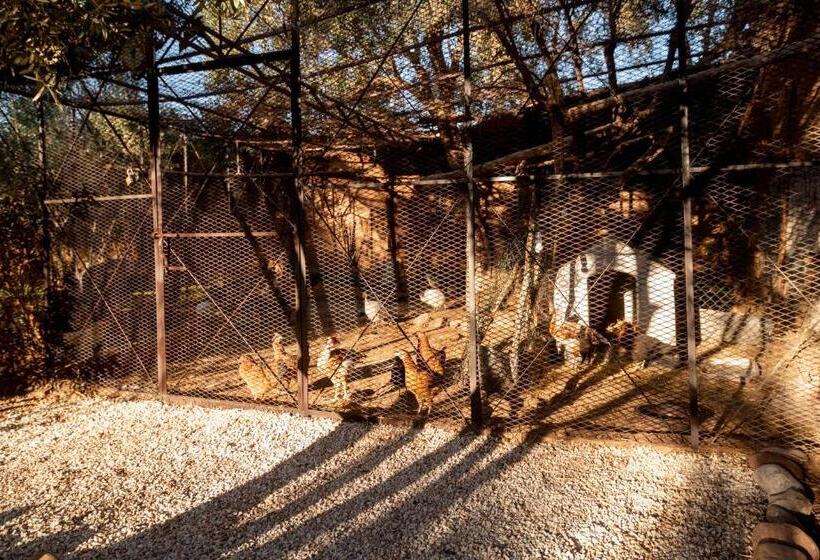 ریاض Villa Septha