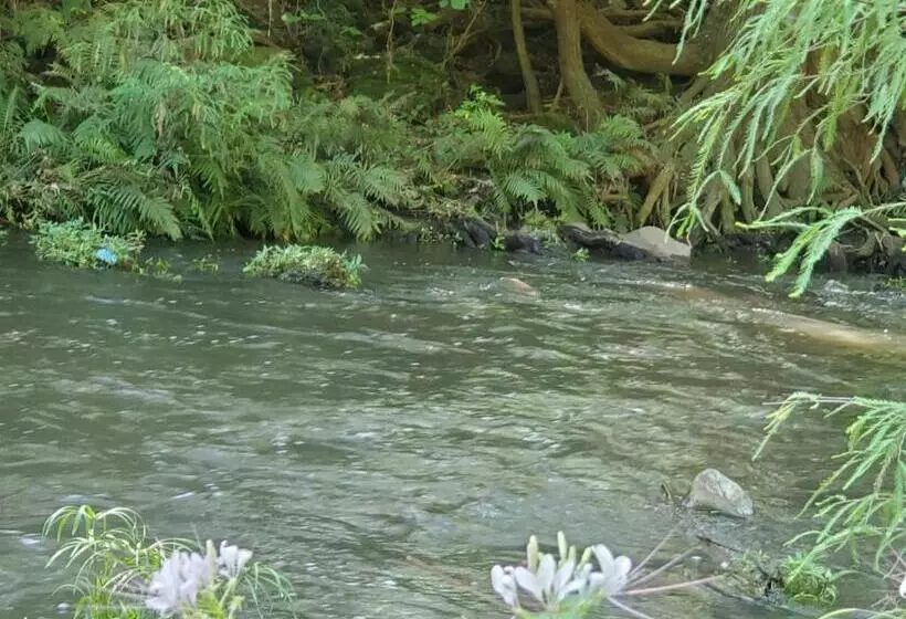 ベッドアンドブレックファースト Teques Romantic Fogata Y Naturaleza