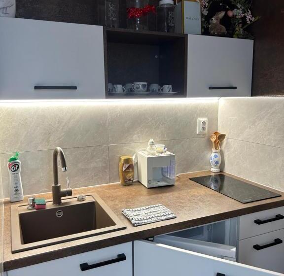 膳宿费 Penzión Imrich Car