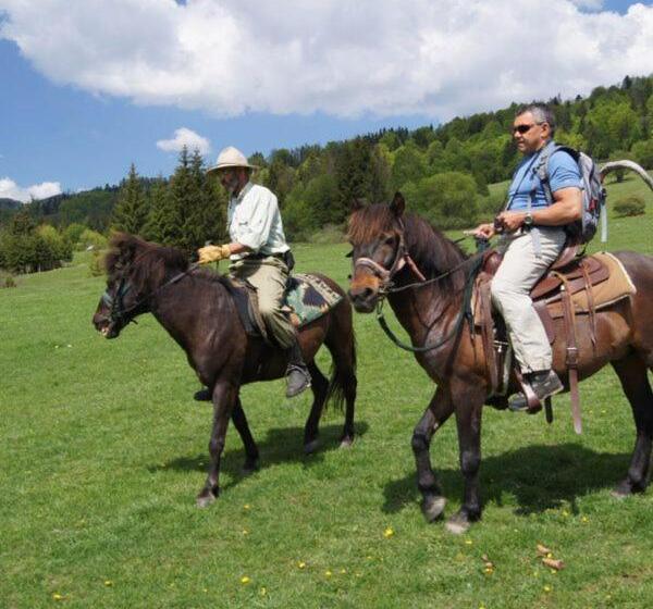 פנסיון Penzión Zbojnícky Halaš