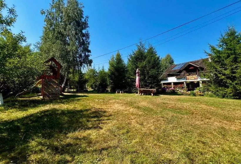 Pensiunea Liana