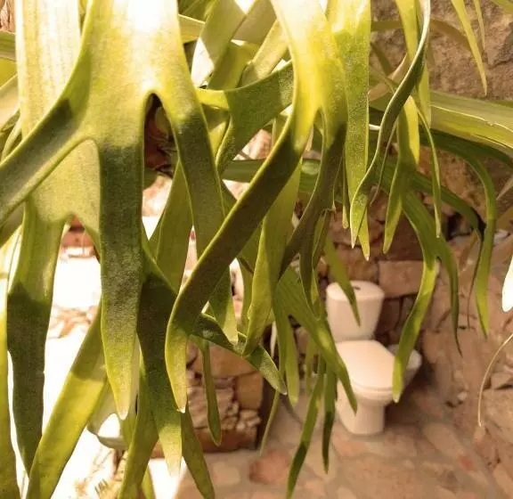 Aamiaismajoitus (B&B) Refugio La Roca