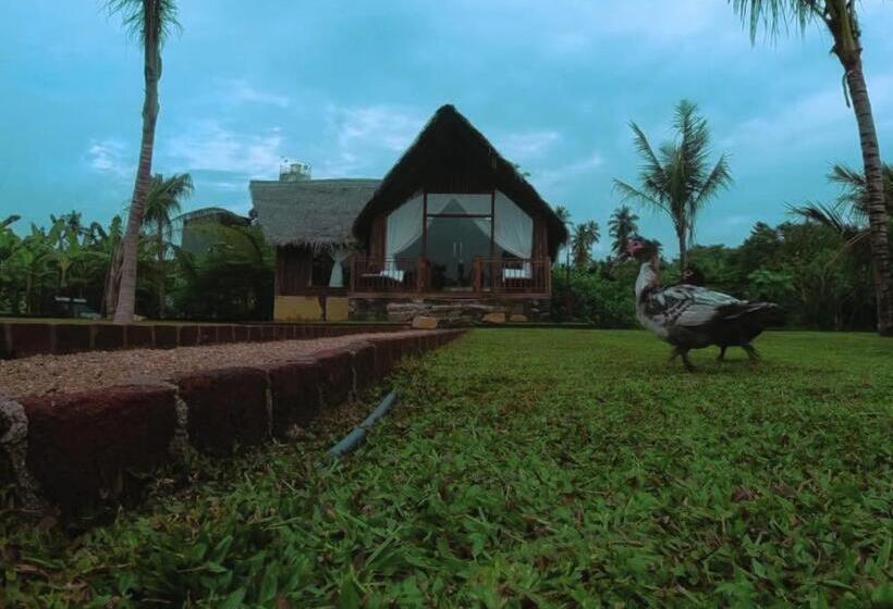 住宿加早餐  Weligama Third Eye Resort