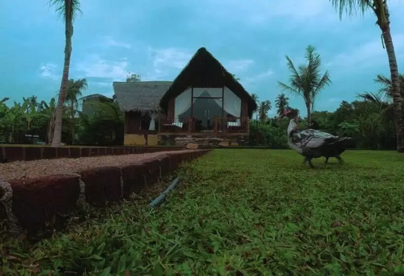 ベッドアンドブレックファースト Weligama Third Eye Resort
