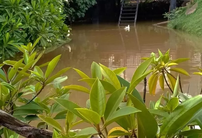 ベッドアンドブレックファースト Weligama Third Eye Resort