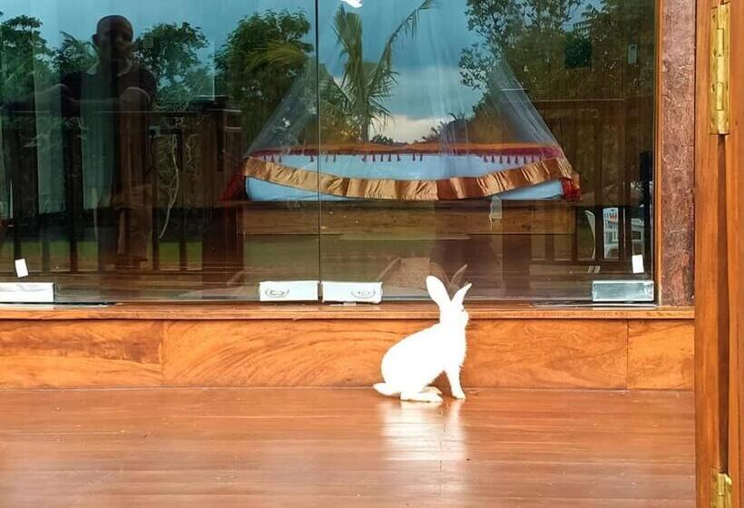 住宿加早餐  Weligama Third Eye Resort