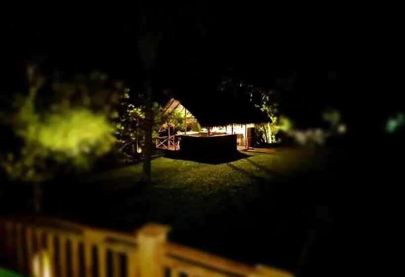 ベッドアンドブレックファースト Weligama Third Eye Resort