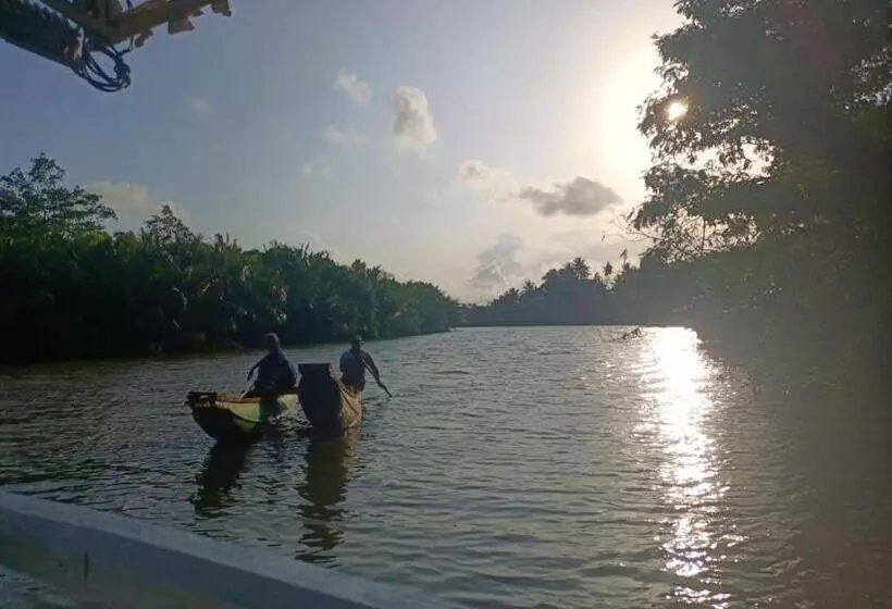 ベッドアンドブレックファースト Weligama Third Eye Resort