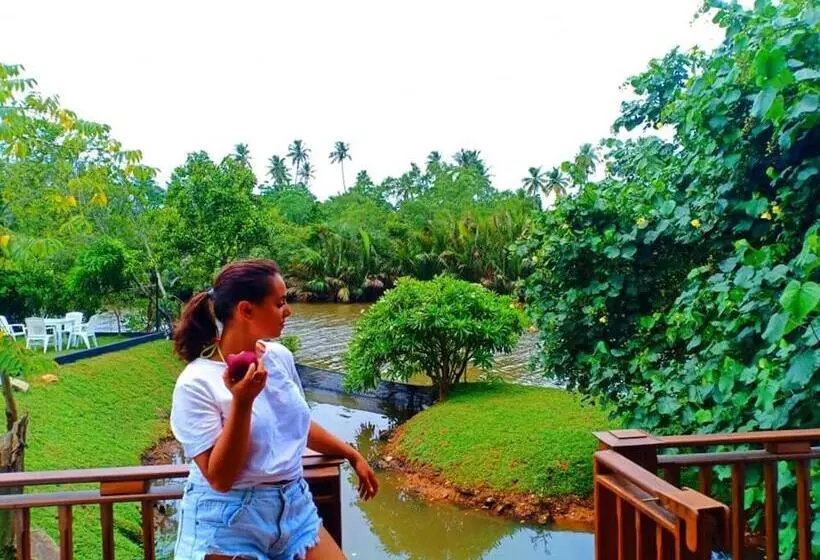 ベッドアンドブレックファースト Weligama Third Eye Resort