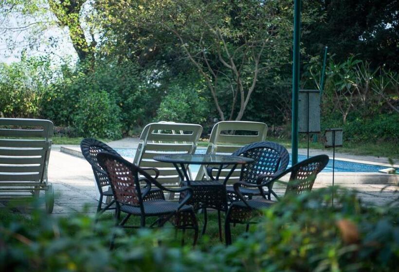 ホテル Tenpy Tiny Snug Obelix At The Homested, Neral