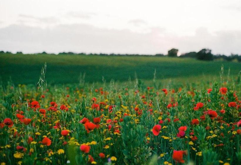 酒店 Tenuta La Castelluzza