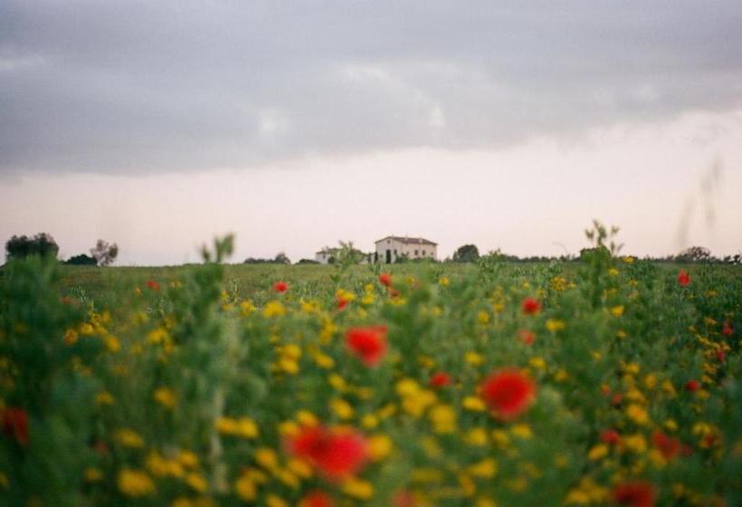 酒店 Tenuta La Castelluzza