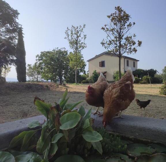 酒店 Tenuta La Castelluzza