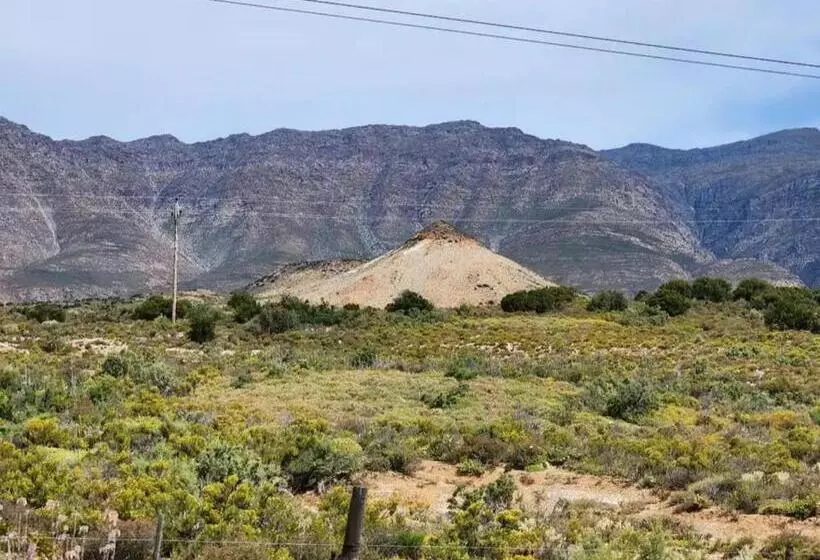 Majatalo Magoos On 62