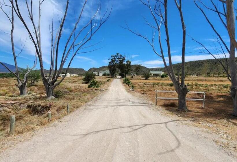 بنسيون Magoos On 62