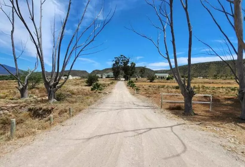 Majatalo Magoos On 62