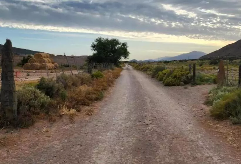 Majatalo Magoos On 62