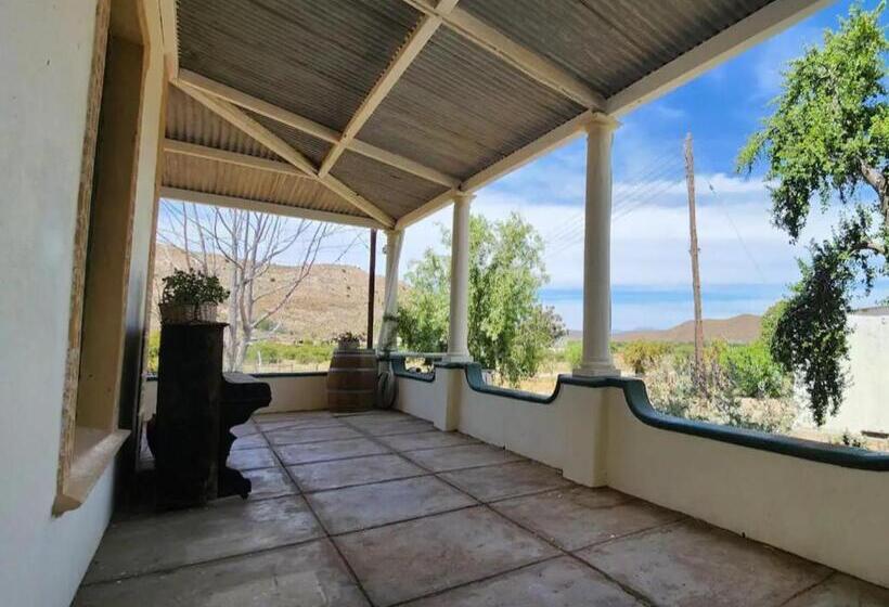 بنسيون Magoos On 62