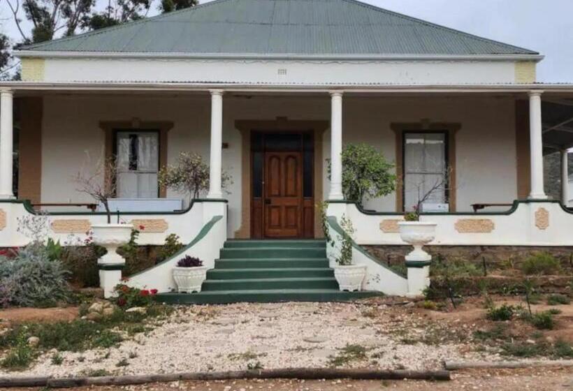 بنسيون Magoos On 62