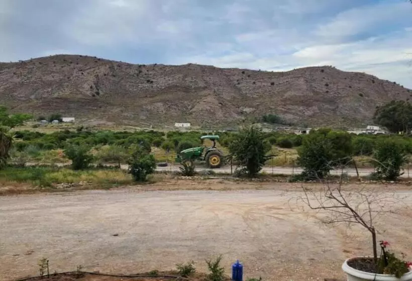 Majatalo Magoos On 62