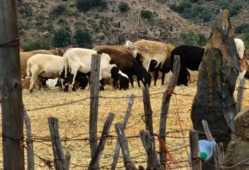 Majatalo Magoos On 62