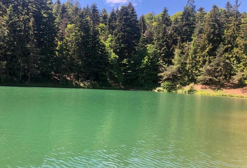 פנסיון Penzión Eliška