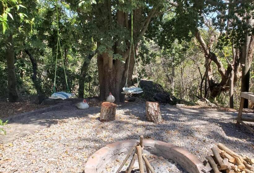 פנסיון Teques Escape Natural