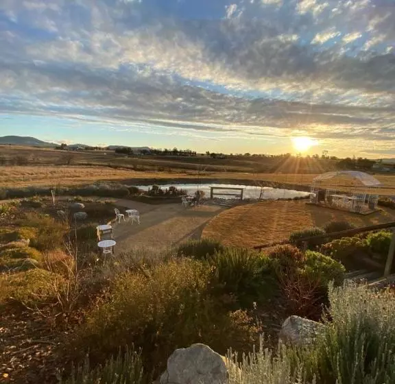 ベッドアンドブレックファースト Carpe Diem Guesthouse