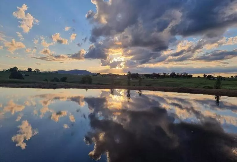 ベッドアンドブレックファースト Carpe Diem Guesthouse