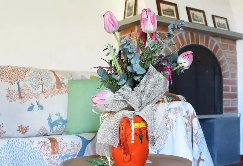 Aamiaismajoitus (B&B) Villa Anna