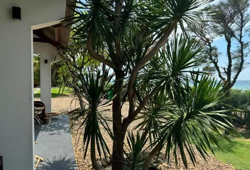 هتل Homestay Phú Yên   Tuy Hòa   Long Thủy Song Ngư House