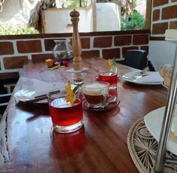 ペンション El Paraiso De Carmen