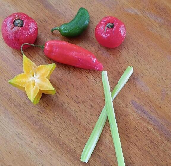 پانسیون El Paraiso De Carmen