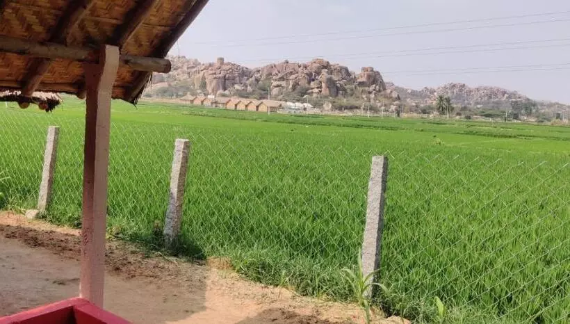 ペンション Laughing Buddha Hampi Guest House