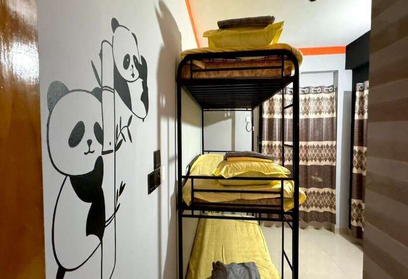 هاستل Zoofamily