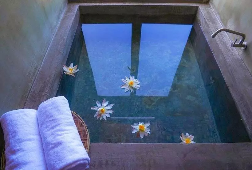 Hotelli Beyond The Sea By Ceylonese