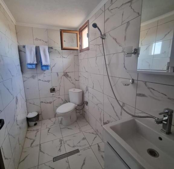 膳宿费 къща за гости люляк