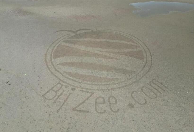 B&b/tiny House Bij Zee