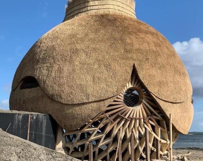 B&b/tiny House Bij Zee