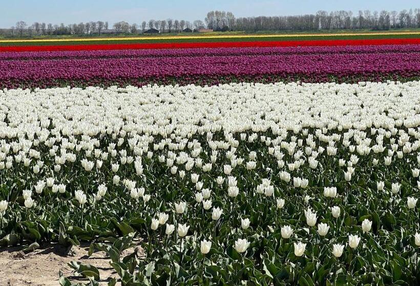 B&b/tiny House Bij Zee