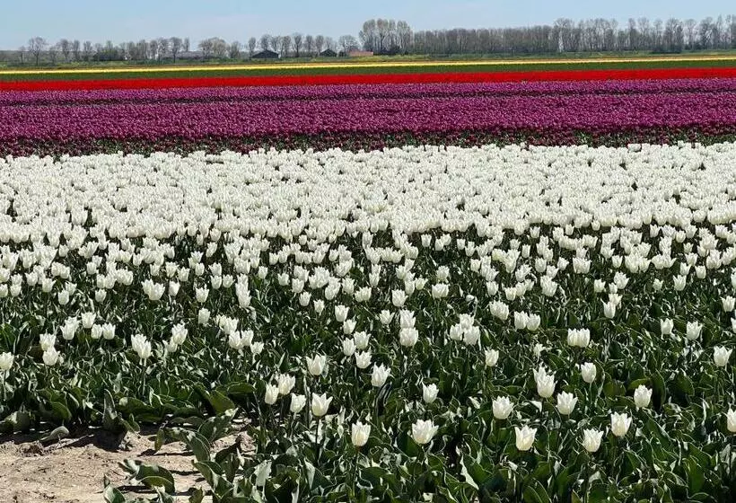 B&b/tiny House Bij Zee