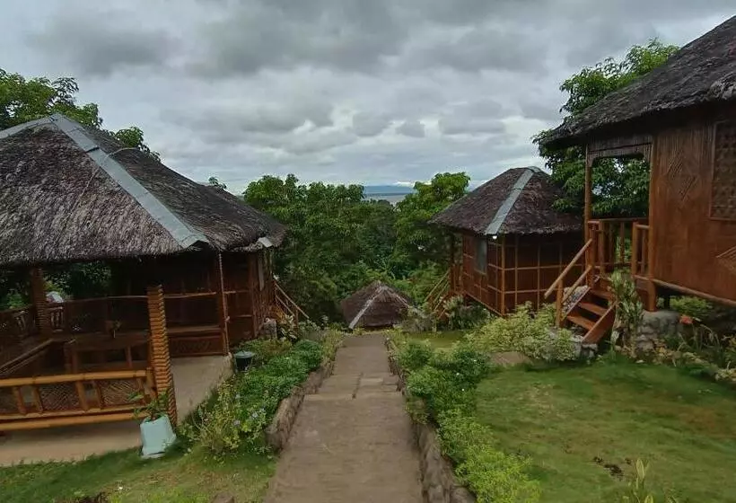 Bed & Breakfast Loony Cafe