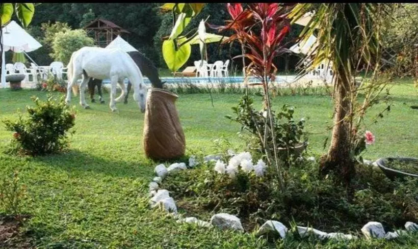 ホテル Fazenda Canario Da Terra