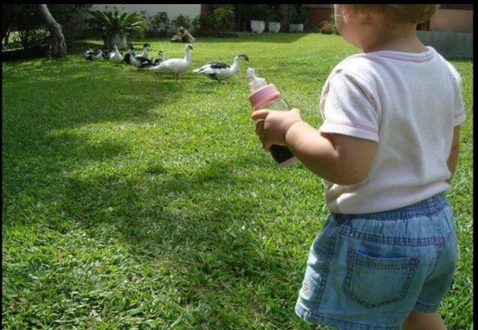 酒店 Fazenda Canario Da Terra