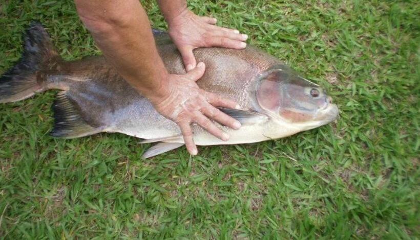 酒店 Fazenda Canario Da Terra