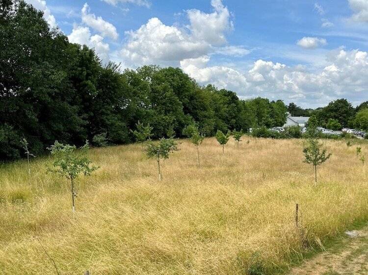 酒店 Kloster Quartier